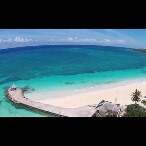 Meet your Posher, Lynne